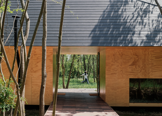 Eco-Friendly Living: Why Pine is the Most Sustainable Building Choice