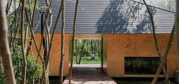 Eco-Friendly Living: Why Pine is the Most Sustainable Building Choice