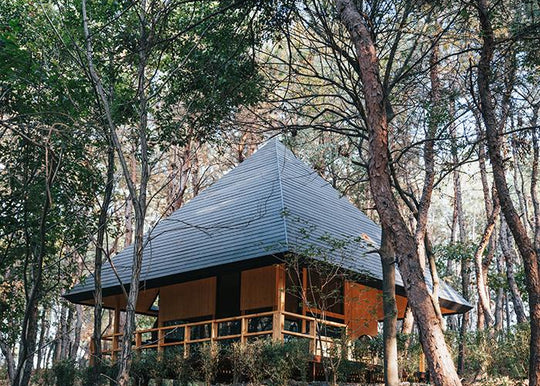 Pyramid hipped roof tops wooden cabin in chinese woodland