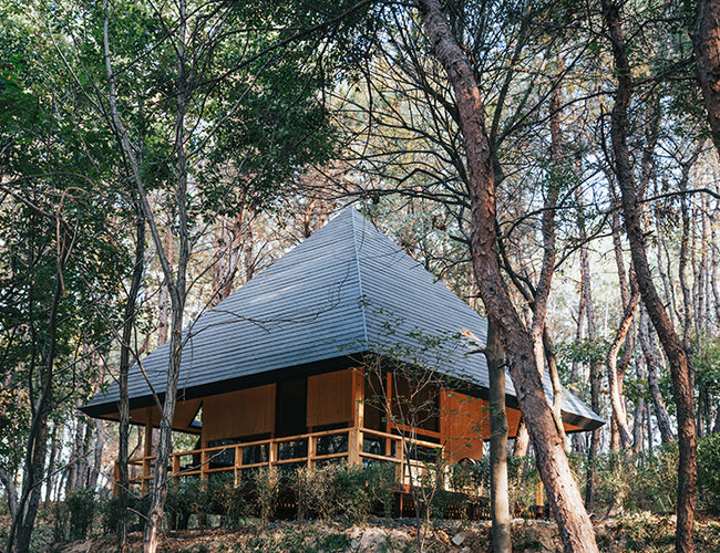 Wiki Cabin