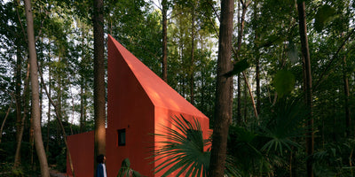 Wiki World Plants red timber cabin